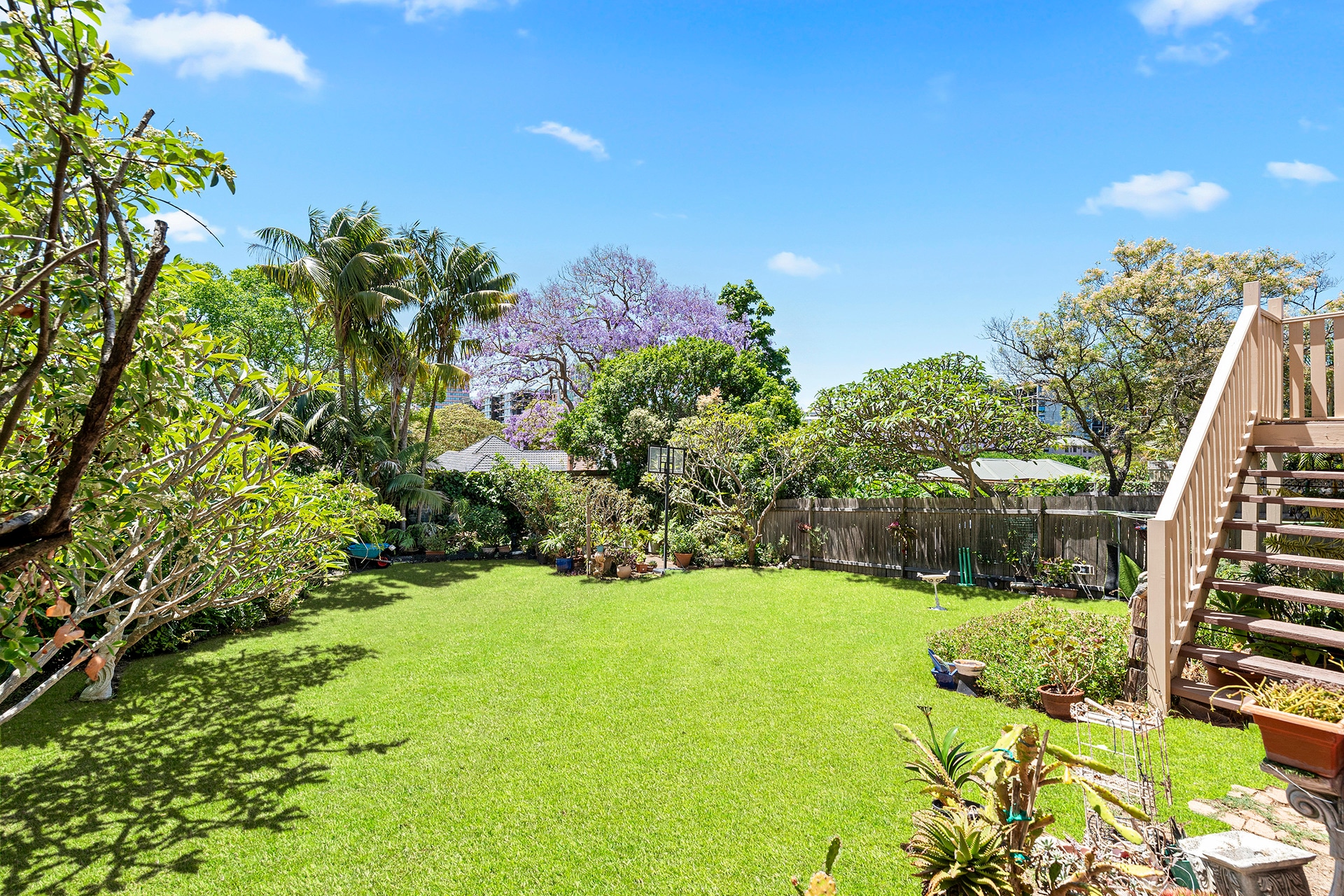 8 Roma Avenue, Kensington NSW