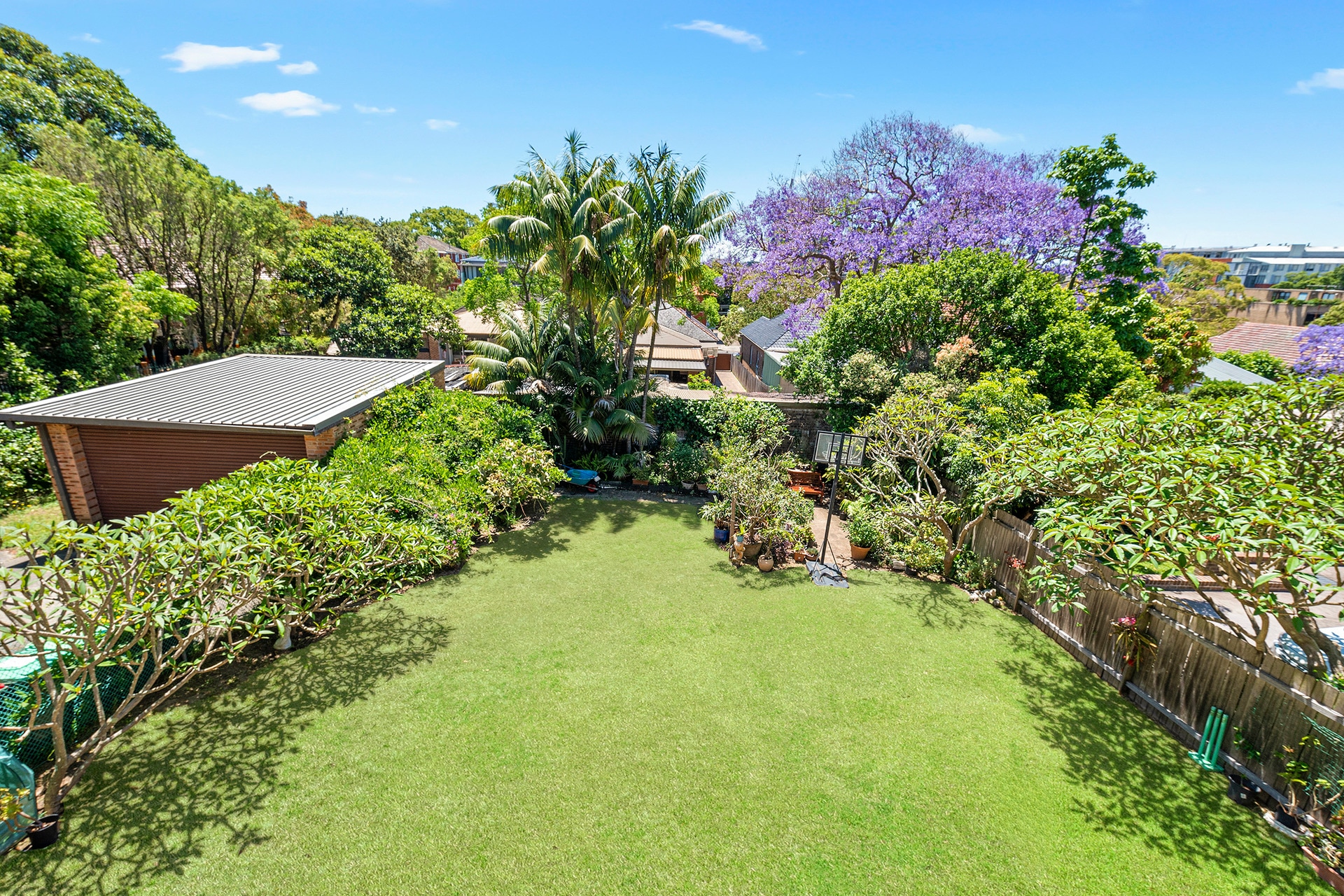 8 Roma Avenue, Kensington NSW