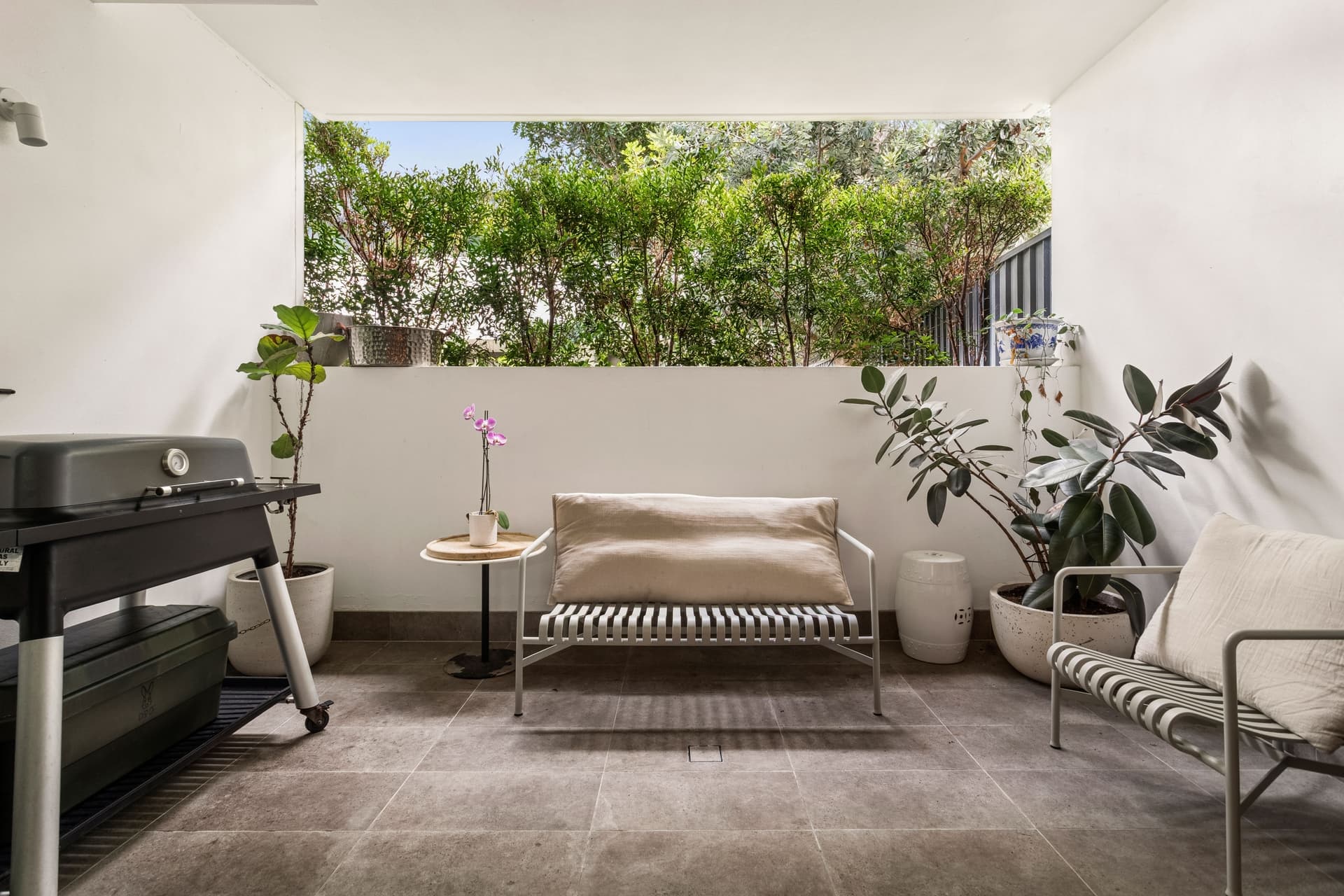3/3 Ralph Street, Alexandria NSW