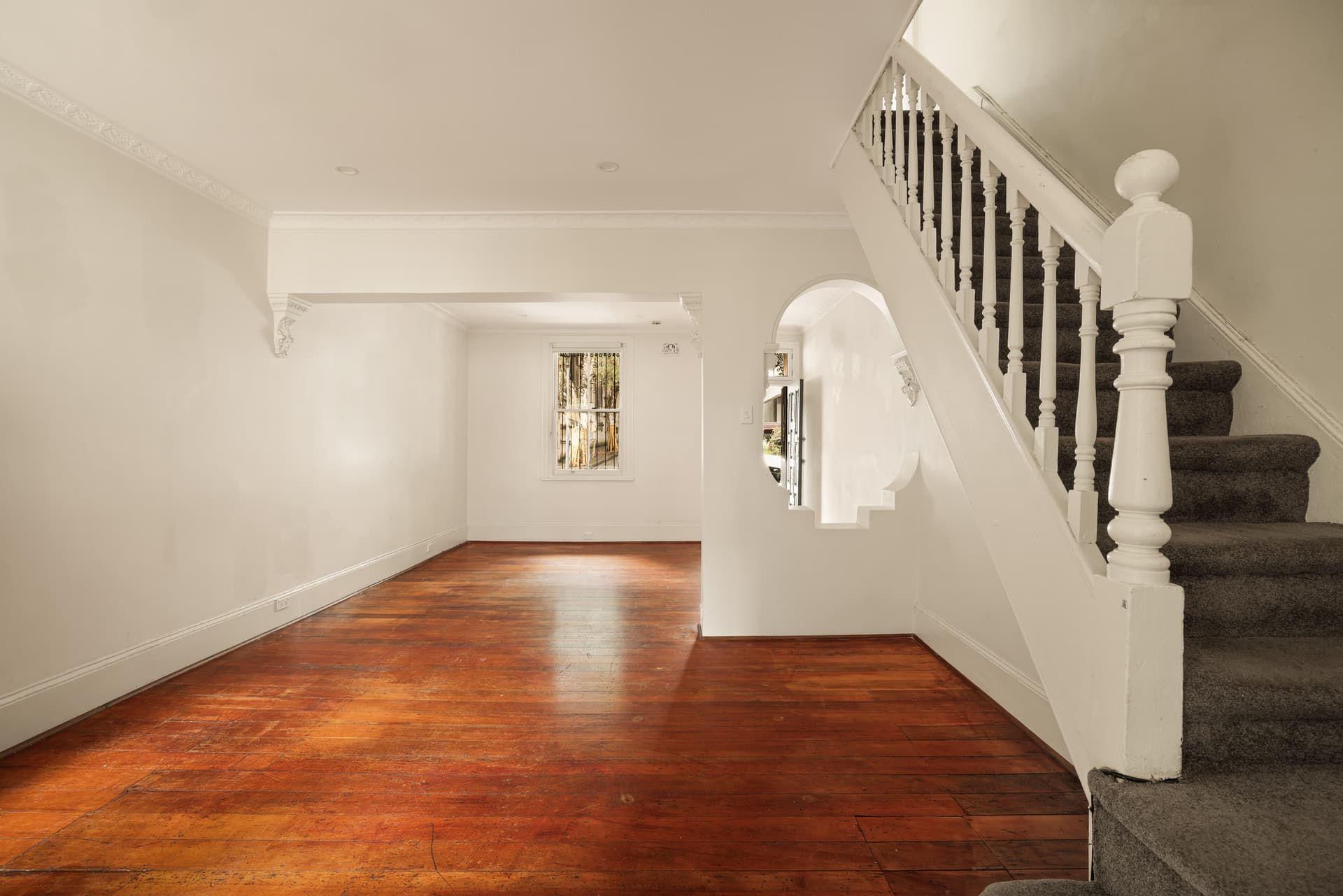 49 Waterloo Street, Surry Hills NSW