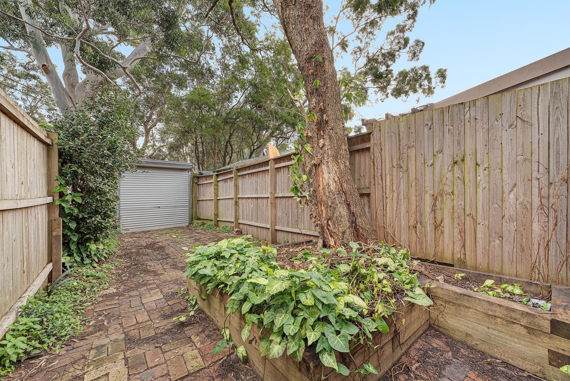 42 Calder Road, Darlington NSW